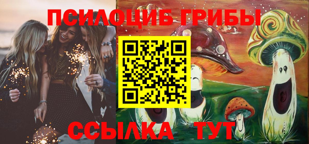 Псилоцибиновые грибы GOLDEN TEACHER Выборг