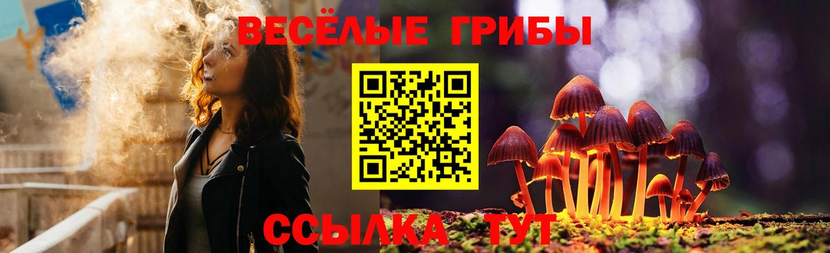 Выборг  Галлюциногенные грибы Psilocybe  Вход с VPN 